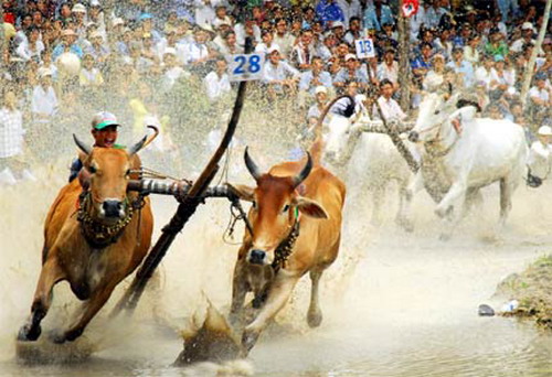 Ngày hội VH – TT & DL đồng bào Khmer Nam bộ lần V – năm 2011: Du lịch An Giang mùa lễ hội